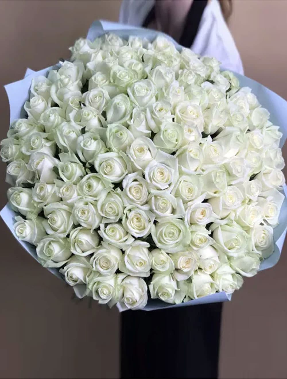 101 белая роза