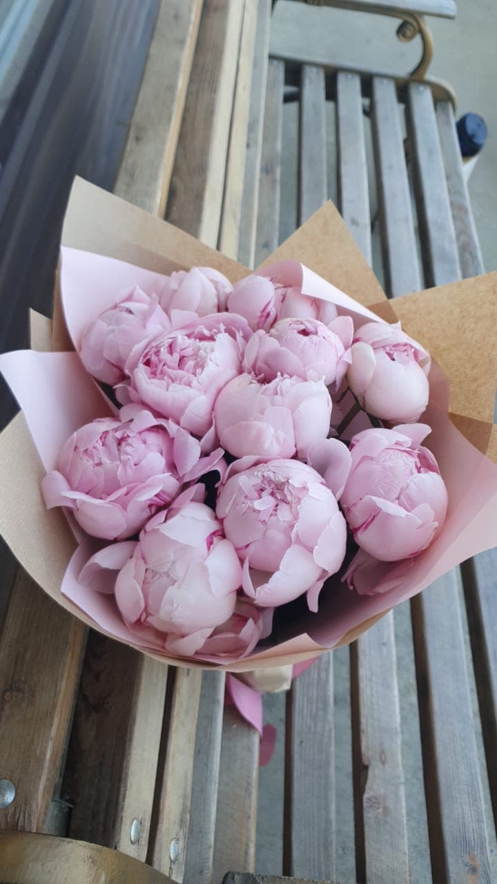 11 розовых пионов