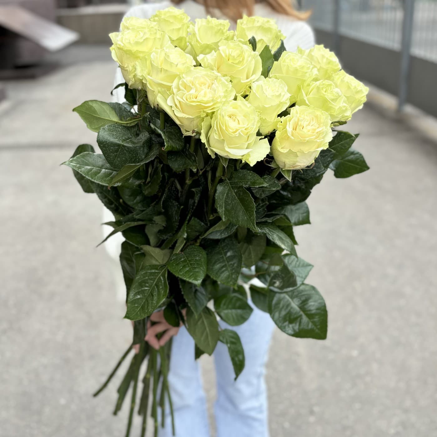 15 белых эквадорских роз 80 см — фото 2 — купить в Тбилиси — фото 2