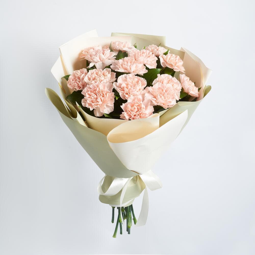 15 кремовых диантусов — фото 5 — купить в Тбилиси — фото 5