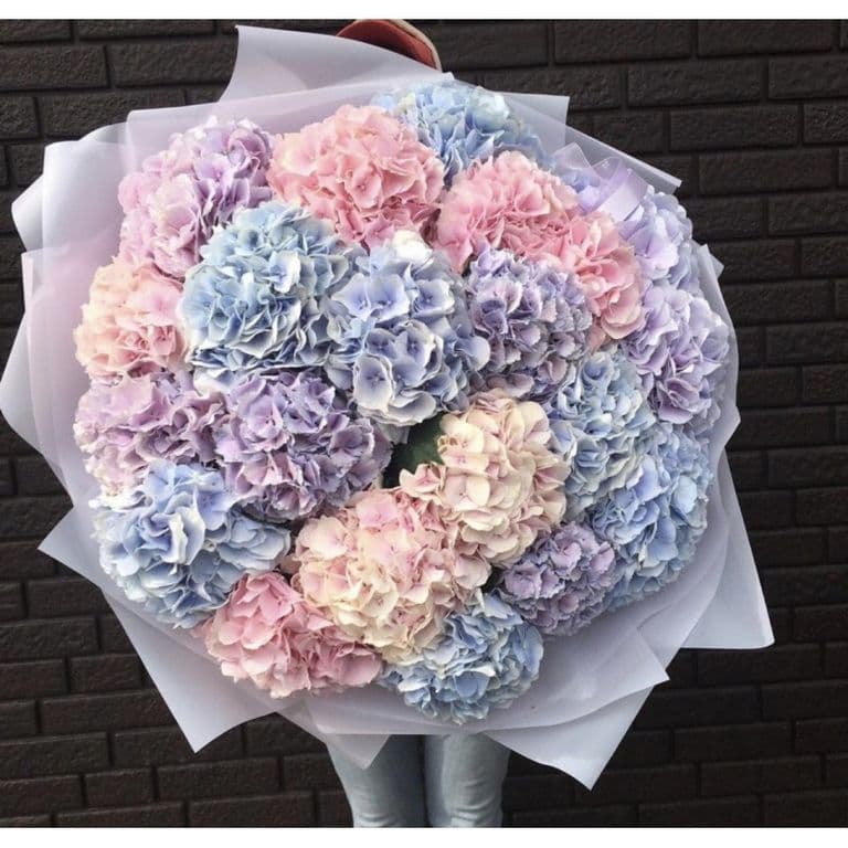 19 гортензий (цвет на выбор)