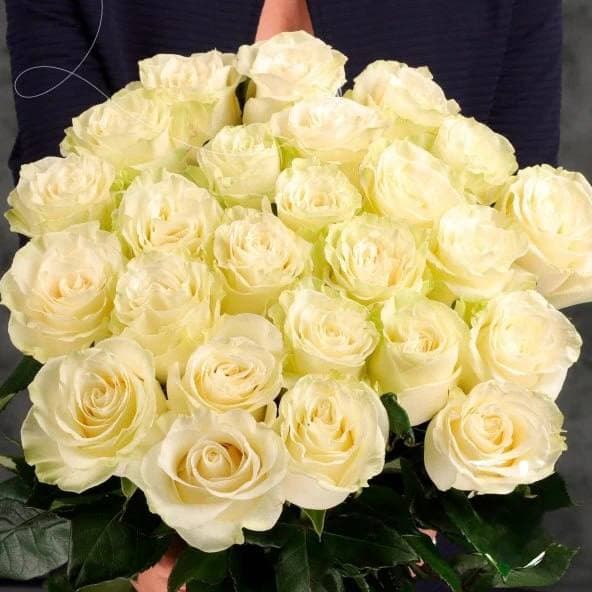 25 белых эквадорских роз 80 см — фото 2 — купить в Тбилиси — фото 2