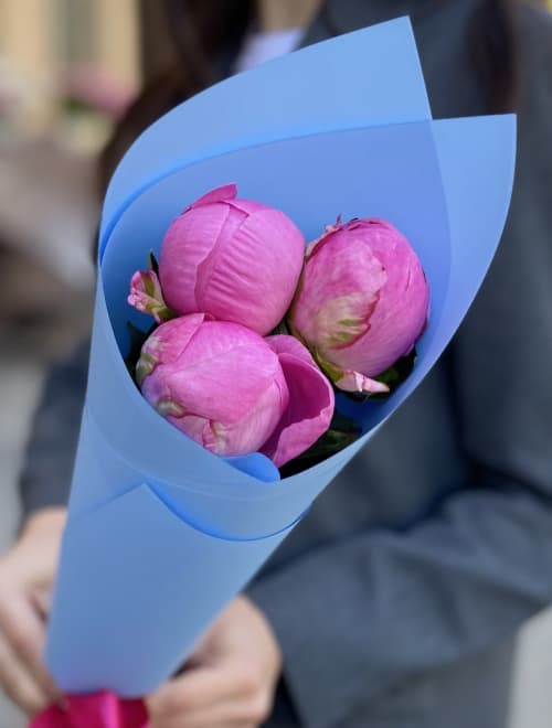 3 розовых пиона