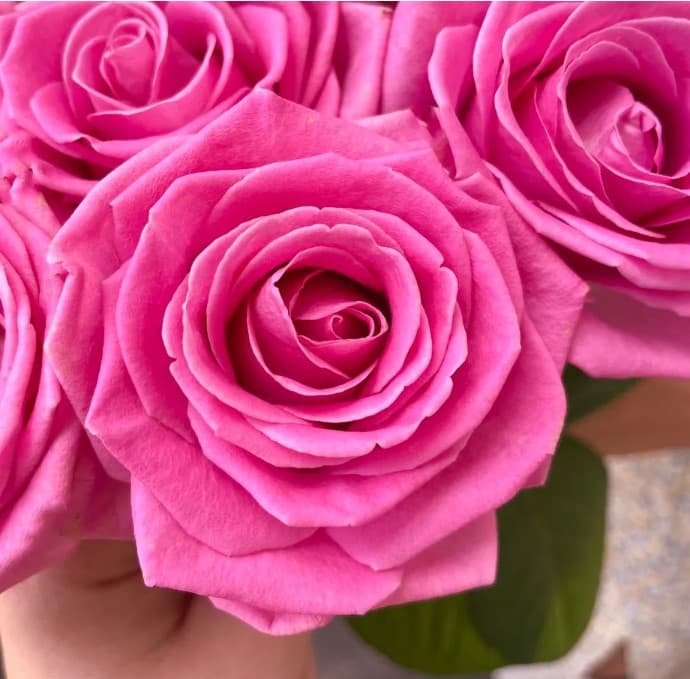 35 розовых роз — фото 2 — купить в Тбилиси — фото 2