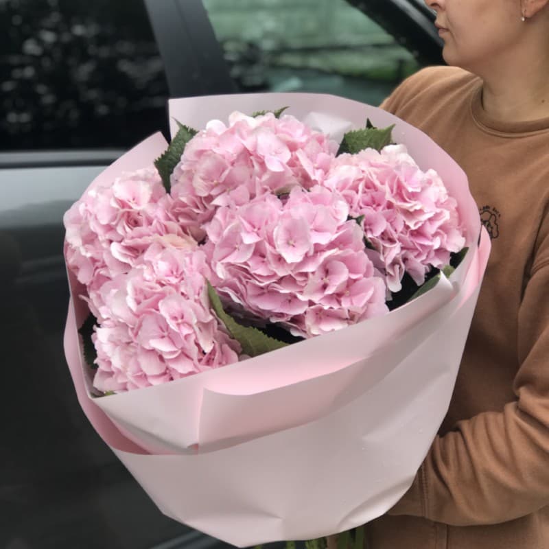 5 розовых гортензий (цвет на выбор) — фото 2 — купить в Тбилиси — фото 2
