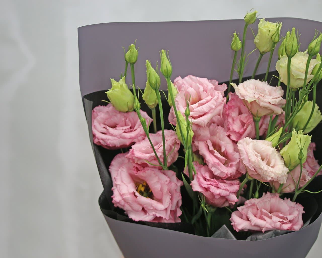 5 веток розовой эустомы — фото 2 — купить в Тбилиси — фото 2