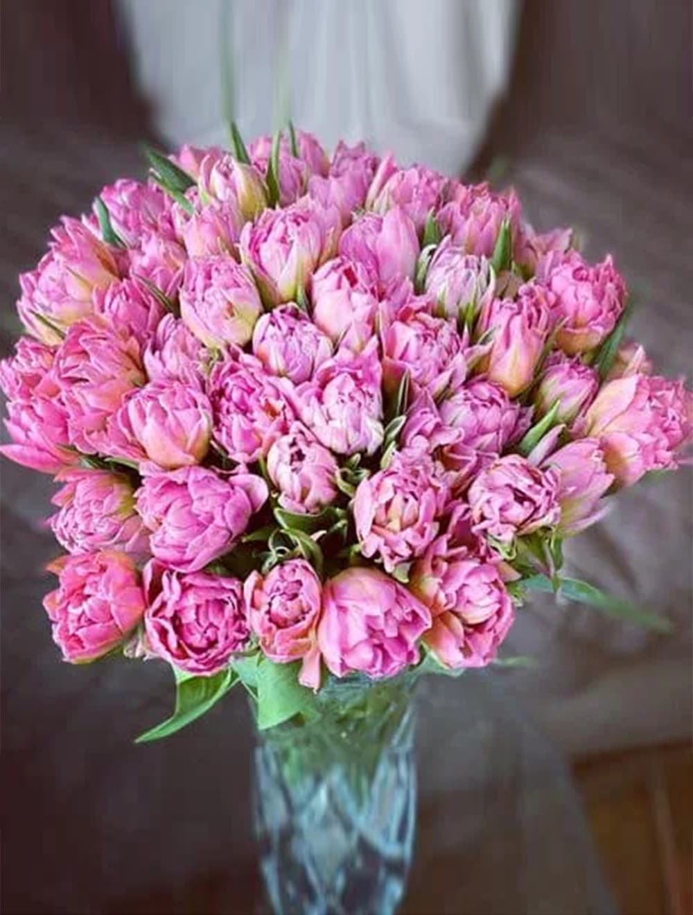 51 пионовидный тюльпан "Зефир"