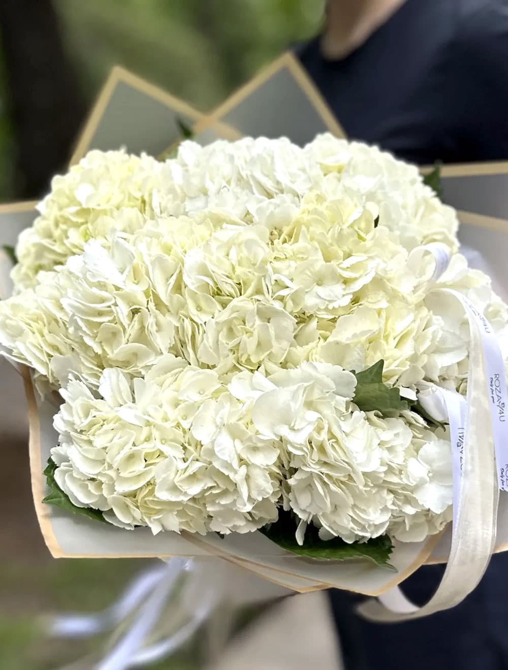 9 белых гортензий