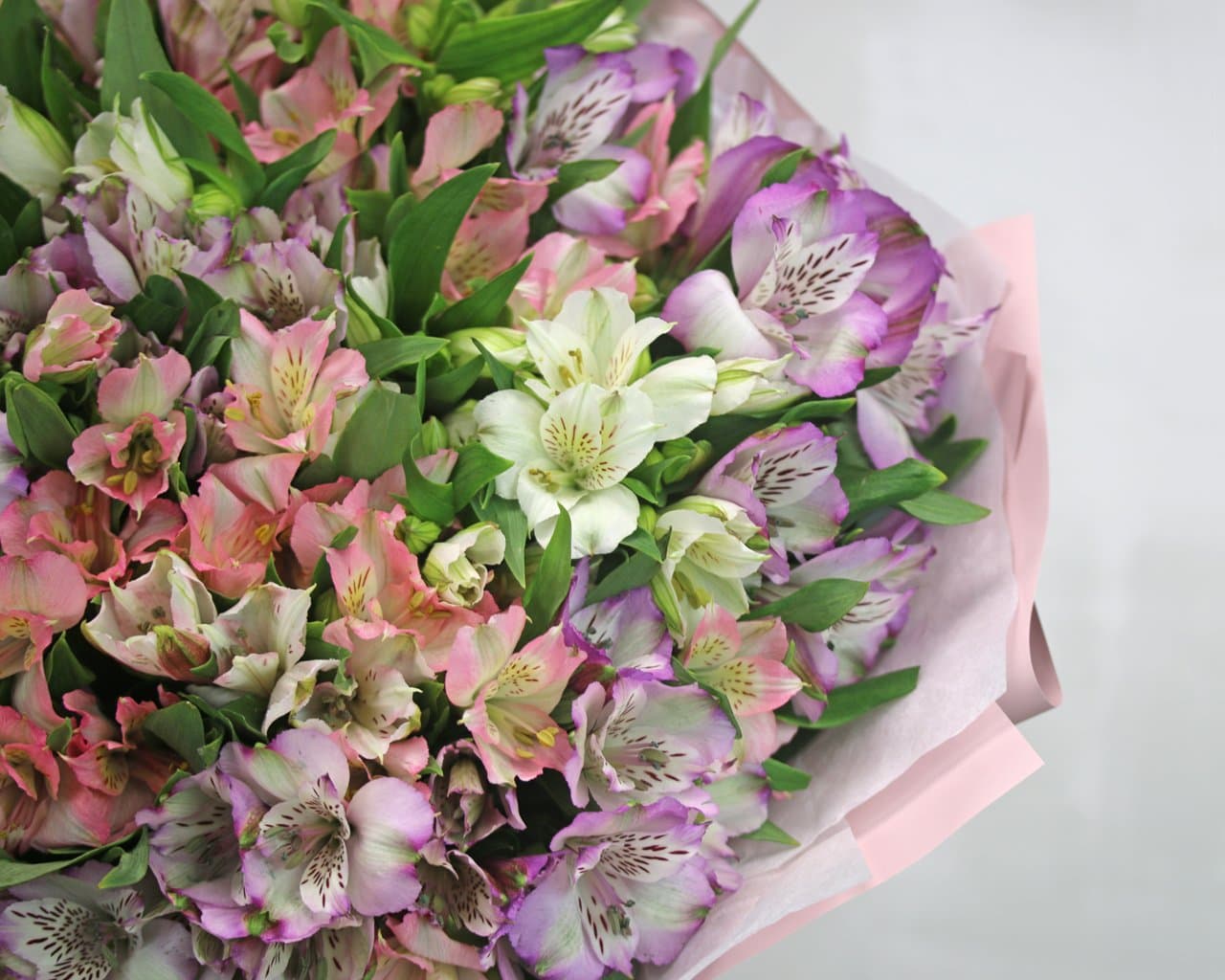 Букет из 31 альстромерии (цвет на выбор) — фото 3 — купить в Тбилиси — фото 3