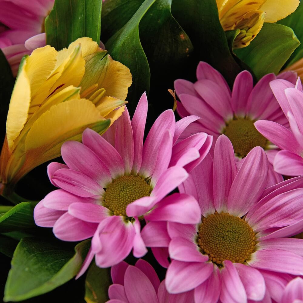 Букет из хризантем и альстромерии — фото 4 — купить в Тбилиси — фото 4