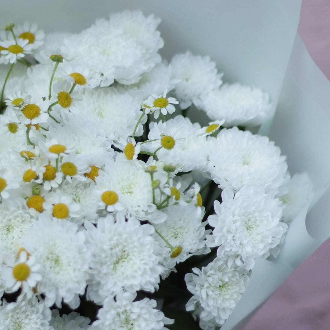 Букет из кустовой хризантемы и ромашек — фото 2 — купить в Тбилиси — фото 2