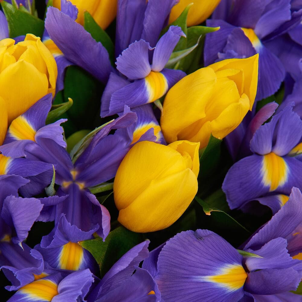 Букет "Starfall" — фото 5 — купить в Тбилиси — фото 5