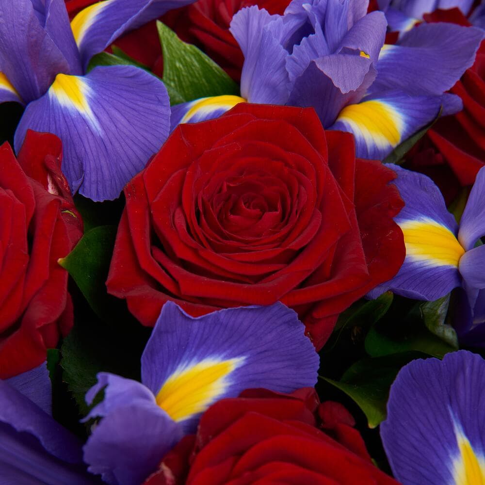 Букет Зимняя вишня — фото 5 — купить в Тбилиси — фото 5