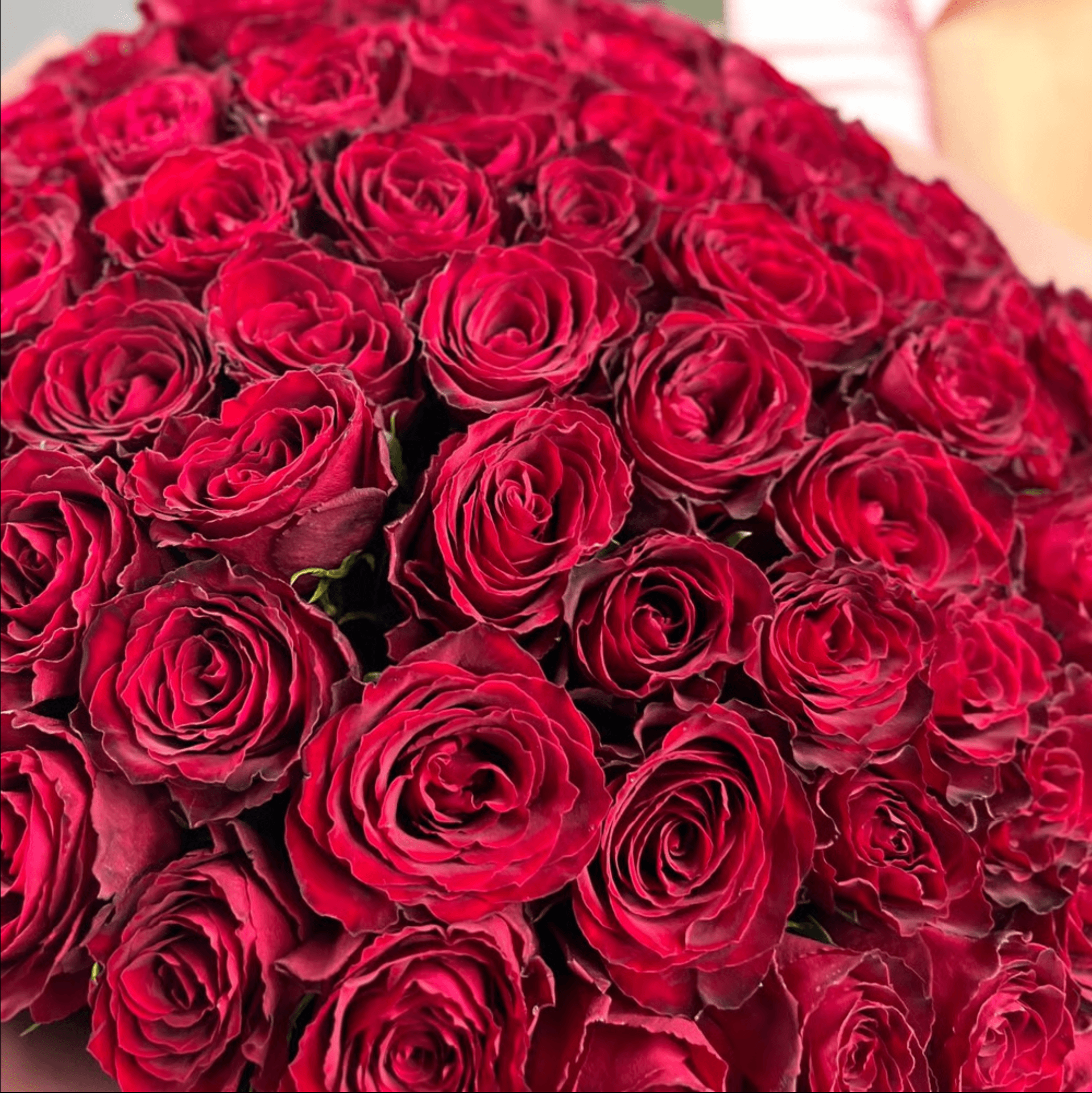 Мадам Ред - 101 роза — фото 2 — купить в Тбилиси — фото 2
