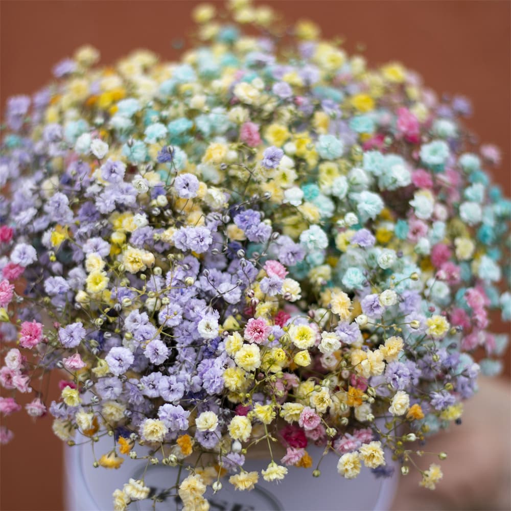 Шляпная коробка "Rainbow" — фото 2 — купить в Тбилиси — фото 2