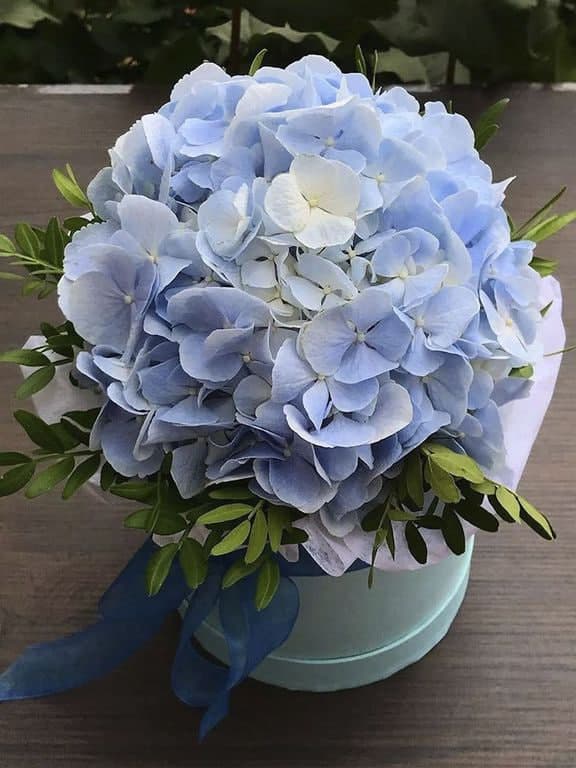 Шляпная коробка с голубой гортензией